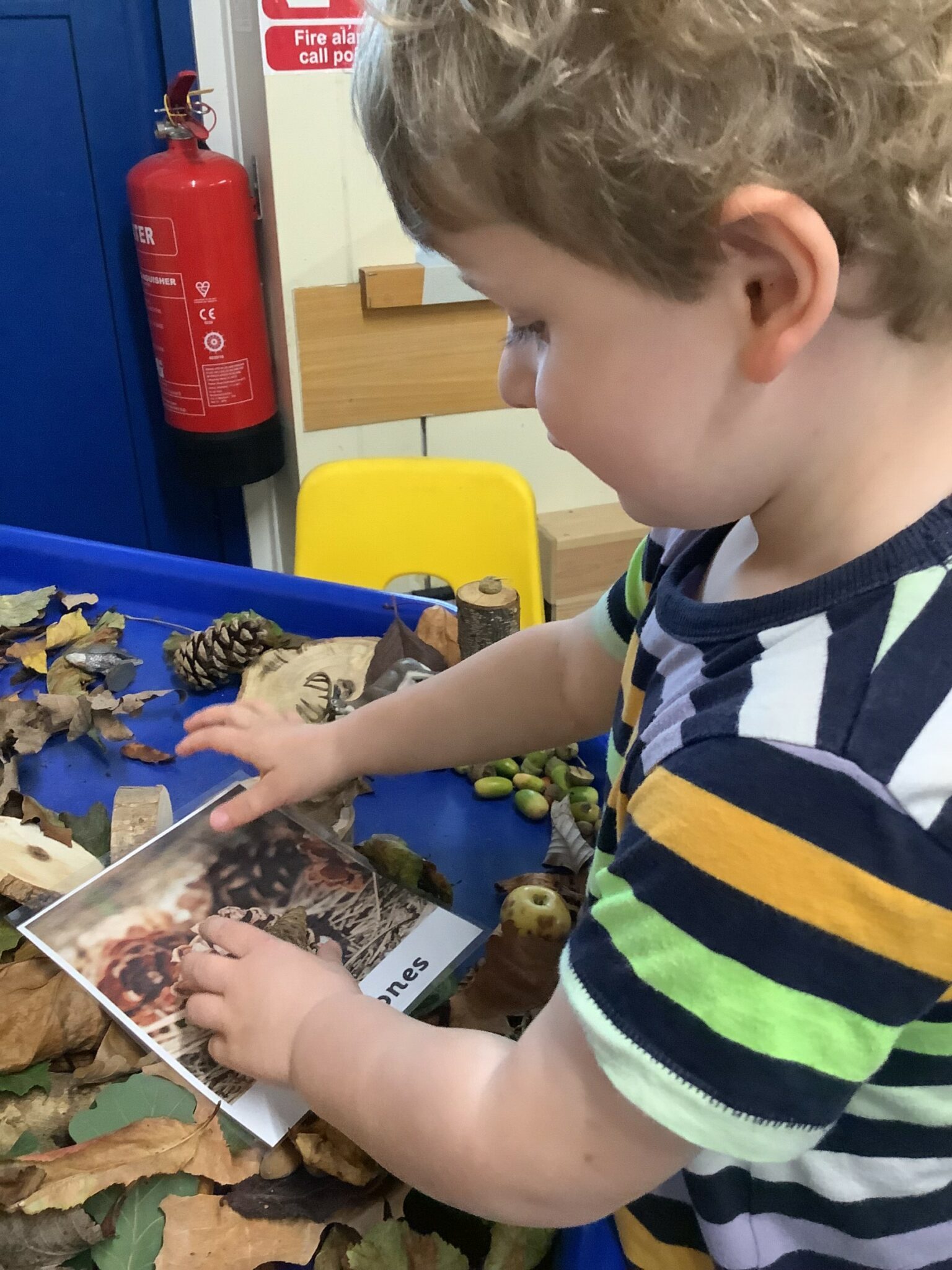 Foundation 1 St Joseph's Catholic Primary and Nursery School Boughton