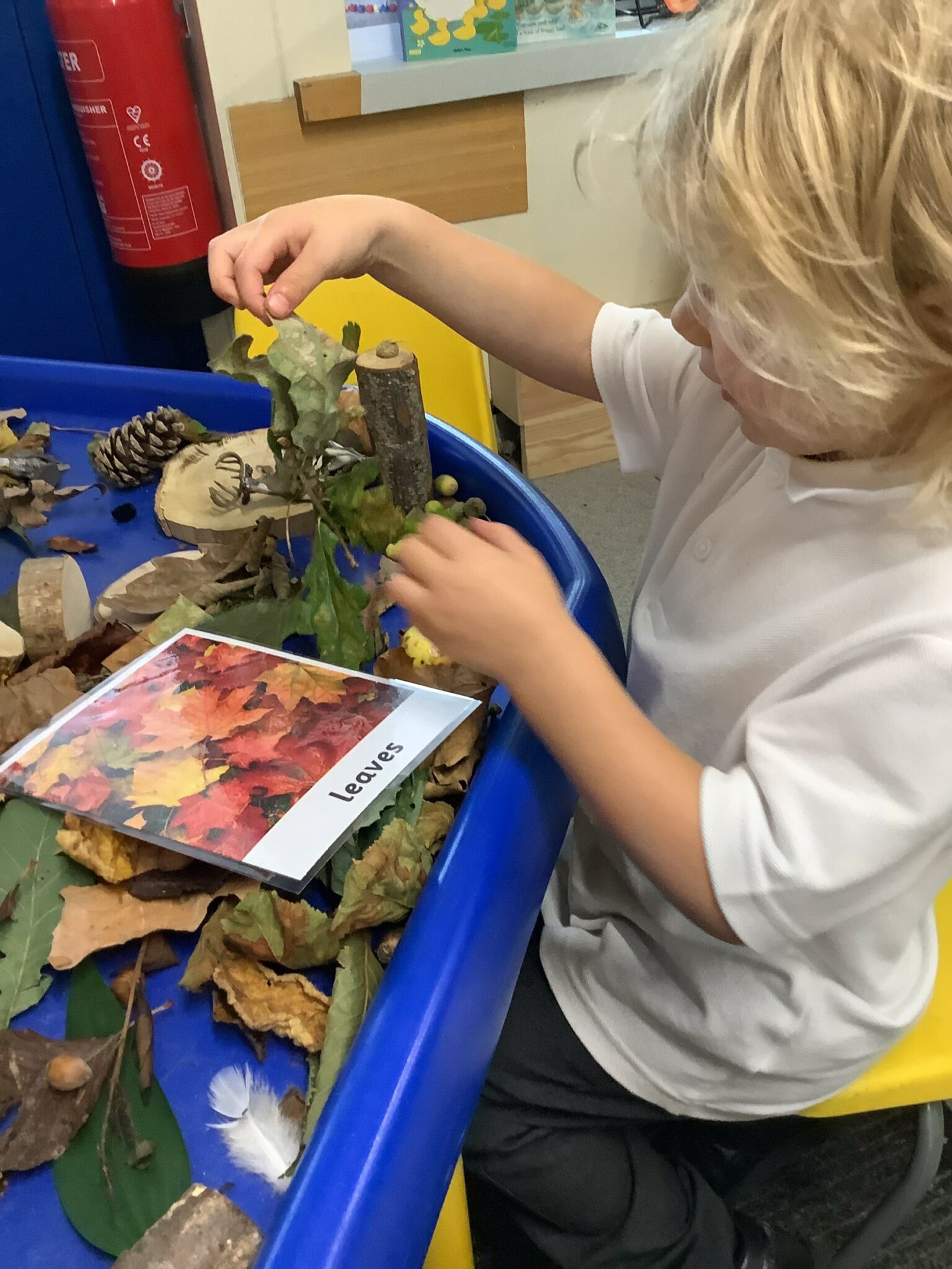 Foundation 1 St Joseph's Catholic Primary and Nursery School Boughton